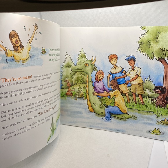 I Can Fix It! A Tale From The Iris The Dragon Series by Gayle Grass Asperger’s - Picture 8 of 10